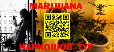 шишки Нальчик